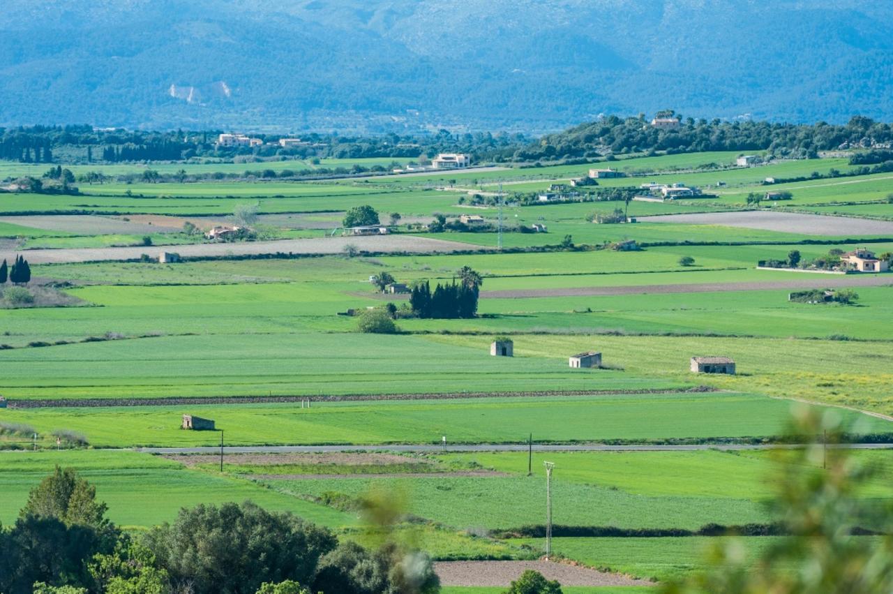 Villa Santa Margalida Bagian luar foto