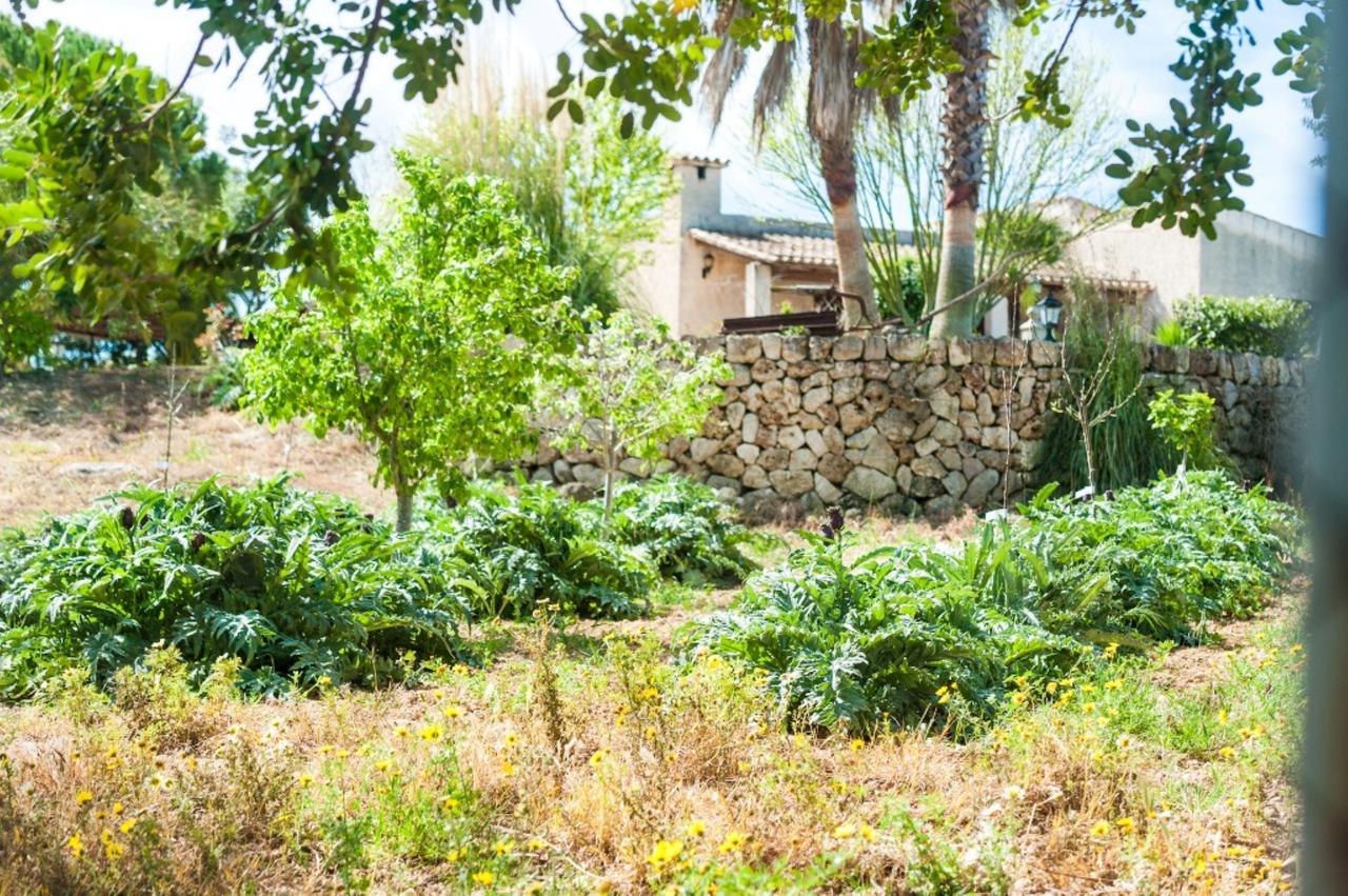 Villa Santa Margalida Bagian luar foto