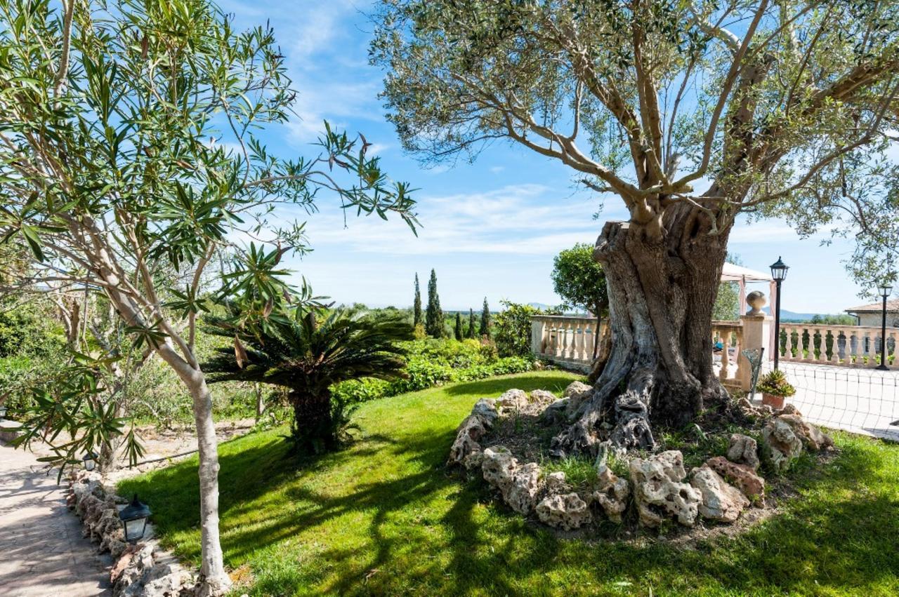 Villa Santa Margalida Bagian luar foto