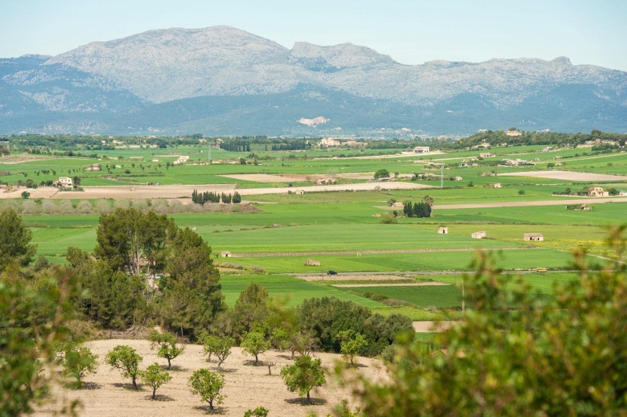 Villa Santa Margalida Bagian luar foto